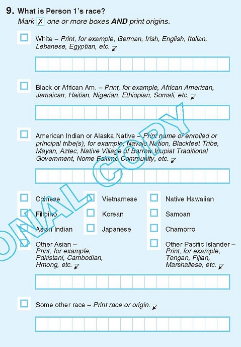 2020 US Census Form